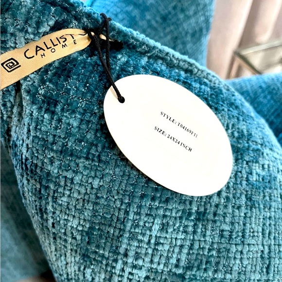 1- NWT CALLISTO HOME DECORATIVE THROW PILLOW (Read description for details) - Picture 12 of 12